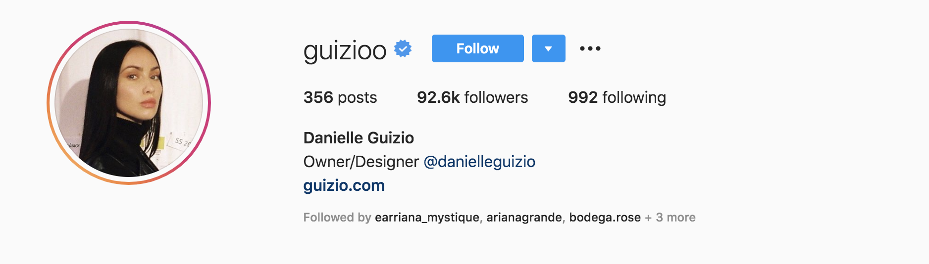 Screen Shot 2020 06 11 at 1.10.29 PM Top Fashion Influencers - Danielle Guizio