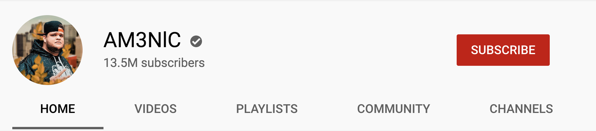 Screen Shot 2020 06 30 at 2.42.34 PM Top Youtube Gaming Influencers - AM3NIC