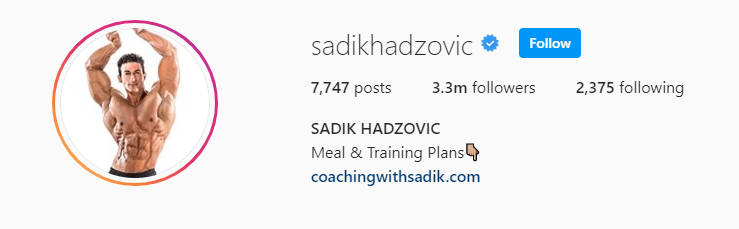 Top Fitness Influencer - Sadik