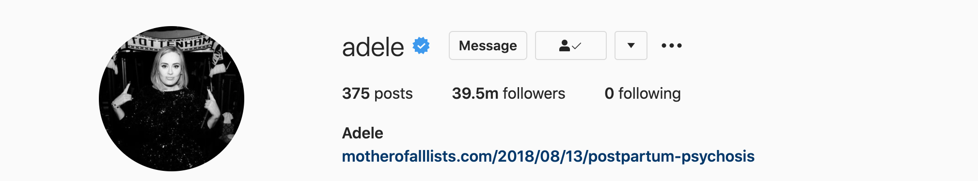 ADELE Top Instagram Influencers - ADELE