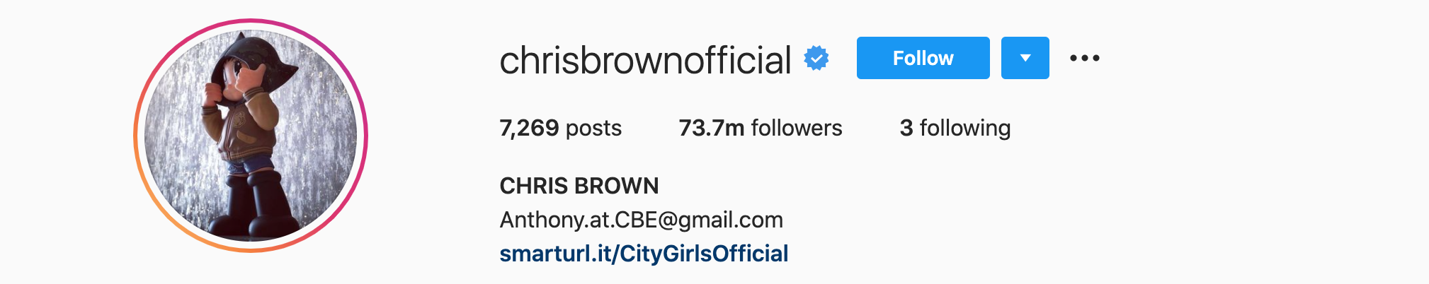 CHRIS BROWN Top Instagram Influencers - CHRIS BROWN