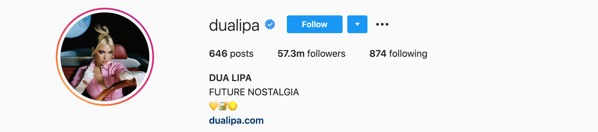 DUA LIPA Top Instagram Influencers - DUA LIPA