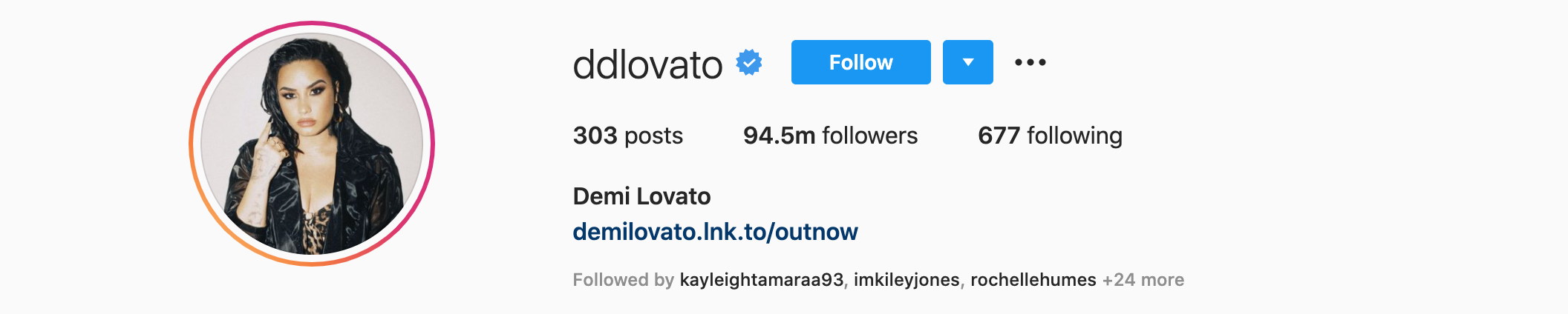 Demi Lovato Top Instagram Influencers - DEMI LOVATO