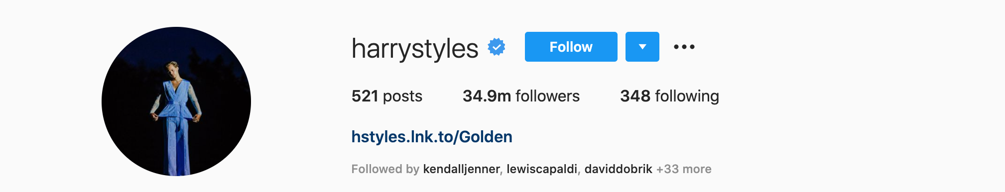 HARRY STYLES Top Instagram Influencers - HARRY STYLES