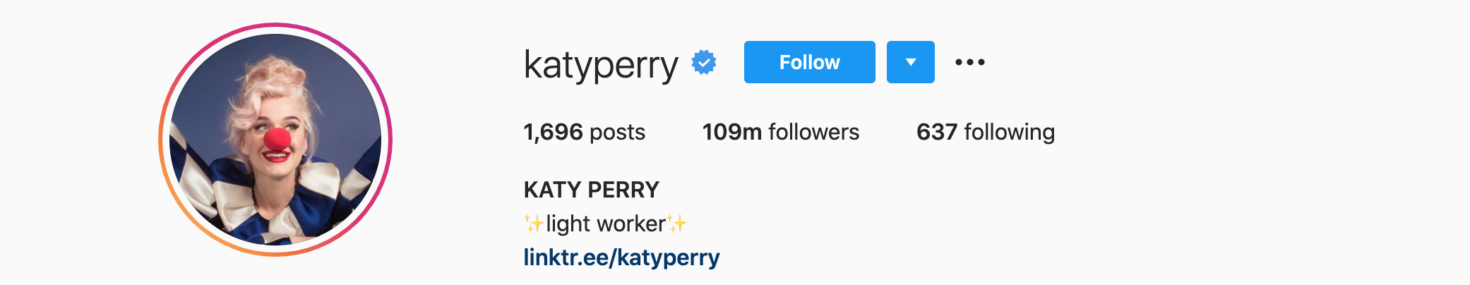 KATY PERRY Top Instagram Influencers - KATY PERRY