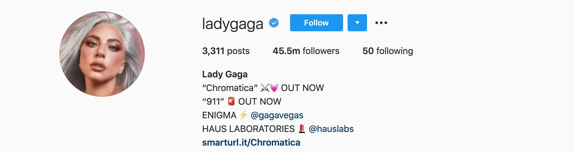 LADY GAGA Top Instagram Influencers - LADY GAGA