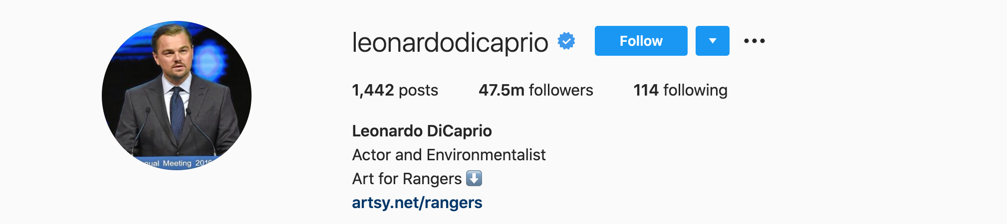 Leonardo DiCaprio Top Instagram Influencers - LEONARDO DICAPRIO