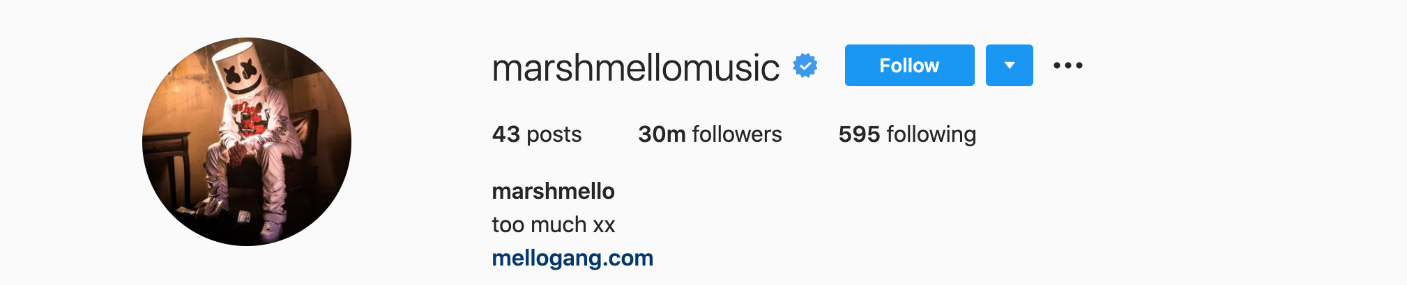 MARSHMELLO Top Instagram Influencers - MARSHMELLO