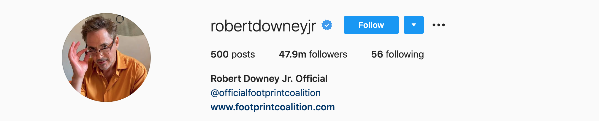 Robert Downey Jr. Top Instagram Influencers - ROBERT DOWNEY JR.