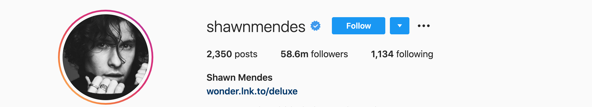 SHAWN MENDES Top Instagram Influencers - SHAWN MENDES
