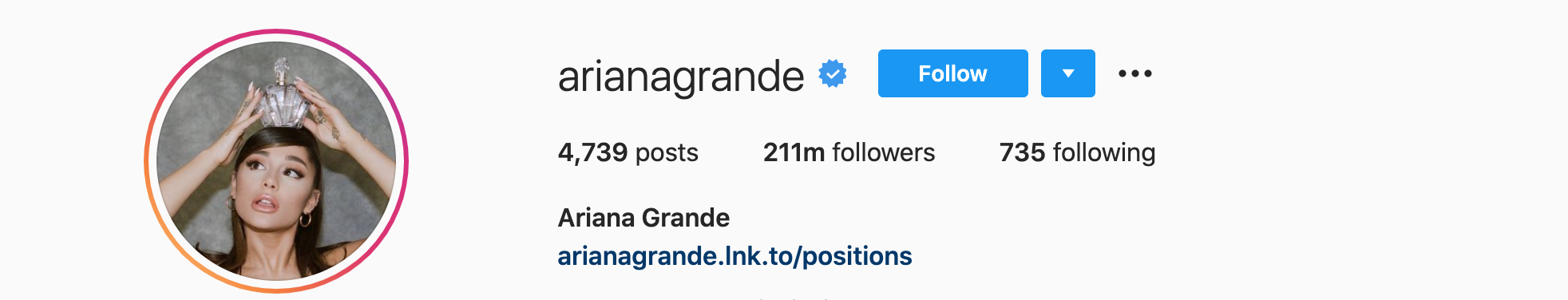 ariana grande Top Instagram Influencers - ARIANA GRANDE