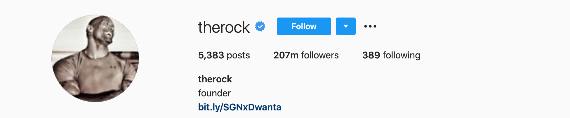 the rock Top Instagram Influencers - DWAYNE JOHNSON