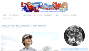 Popular Mom Blog