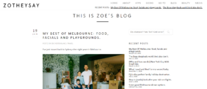 Mommy Bloggers