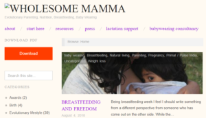 Most Popular Mommy Blog