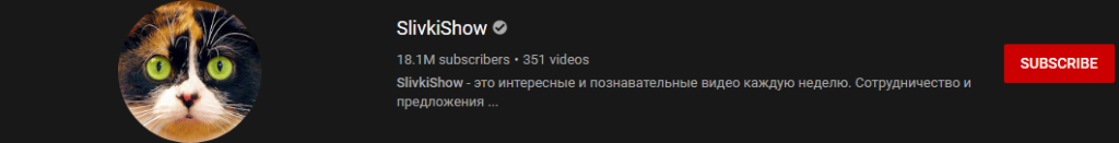 image 10 most subscribed Youtubers - Slivkishow - MOST SUBSCRIBED YOUTUBERS AND MOST SUBSCRIBED YOUTUBE CHANNELS IN 2024