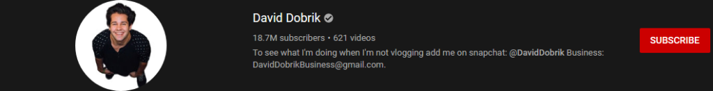 image 3 most subscribed Youtubers - DAVID DOBRIK - MOST SUBSCRIBED YOUTUBERS AND MOST SUBSCRIBED YOUTUBE CHANNELS IN 2024