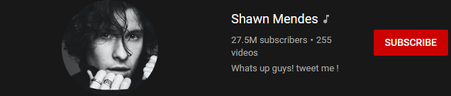image 69 most subscribed Youtubers - SHAWN MENDES - MOST SUBSCRIBED YOUTUBERS AND MOST SUBSCRIBED YOUTUBE CHANNELS IN 2024