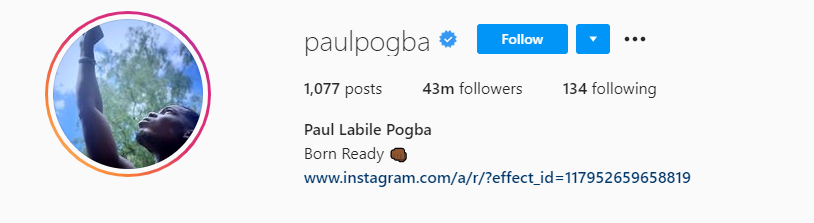 Paul pogba Top Male Influencers