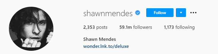 Shawn mendes Top Male Influencers - Shawn Mendes