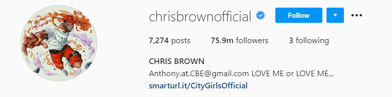 chris brown Top Male Influencers - Chris Brown