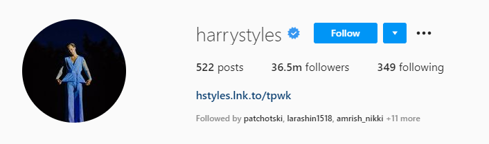 harry styles Top Male Influencers - Harry Styles