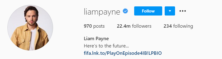 liam payne liam payne