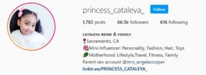 Kid influencers