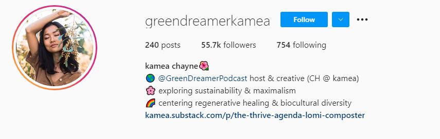 30 Kamea Chayne Sustainability Influencers