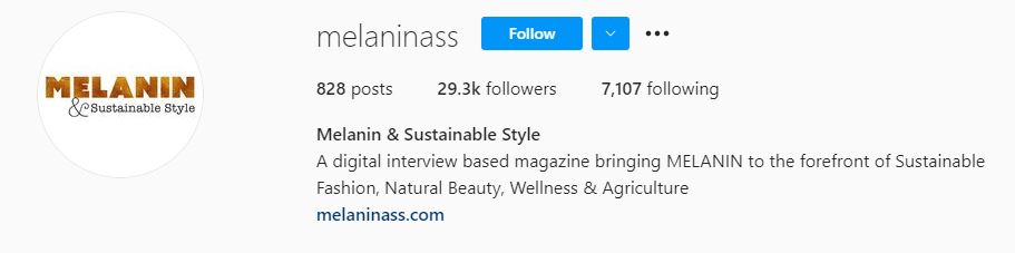 44 Melanin Sustainability Influencers