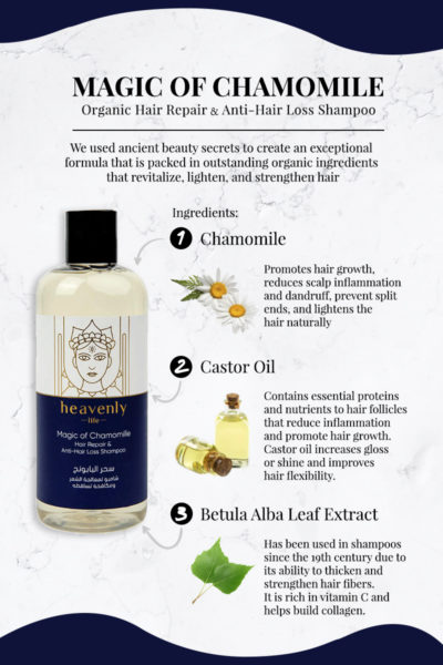 Final - Heavenly Life Infographic- Chamomile Shampoo SEO Case Study