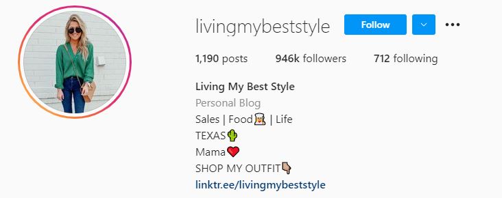 Top Lifestyle Influencers