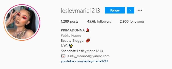 LESLEY MARIE Top Micro Influencers