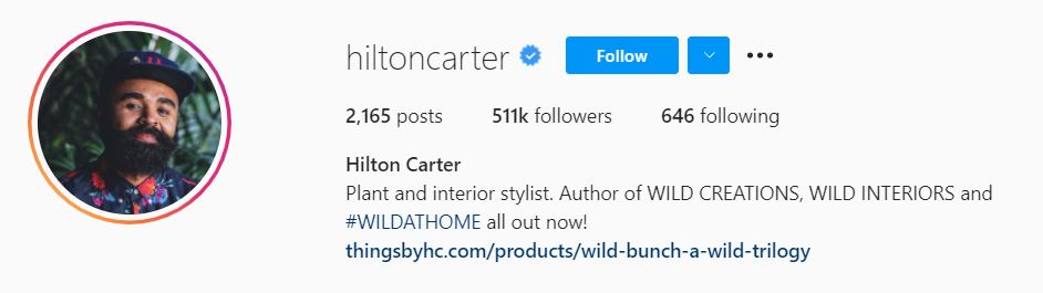 HILTON CARTER Top Home Decor Influencers
