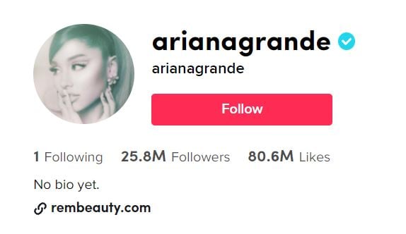 ARIANA GRANDE famous TikTok girls