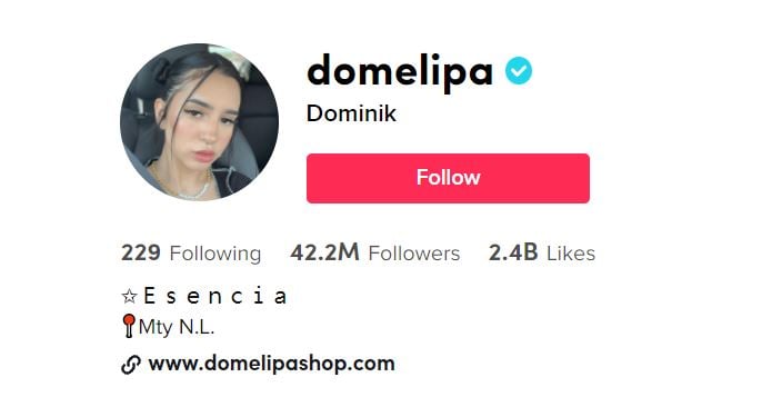 DOMINIK LIPA TOP TIKTOK GIRLS