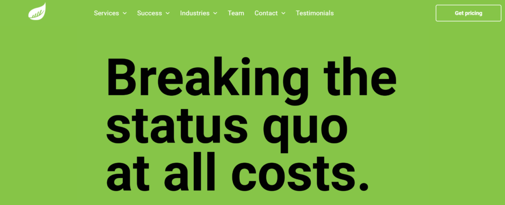 busy seed healthcare marketing agencies
