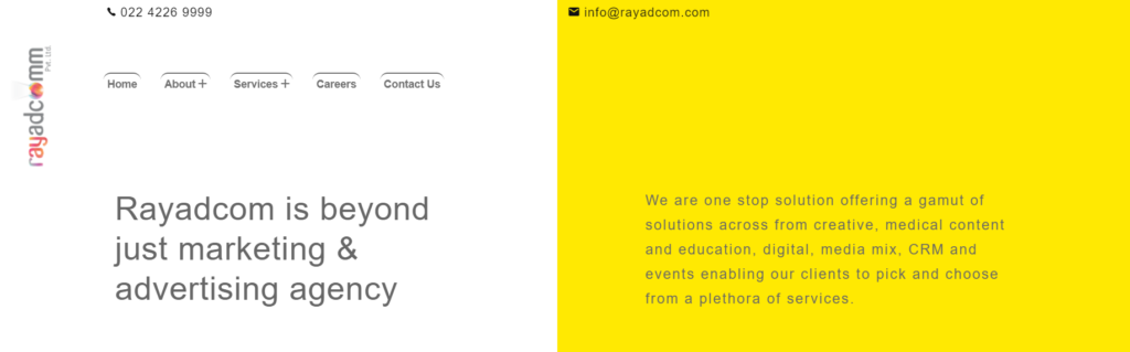 rayadcom pharmaceutical marketing agencies