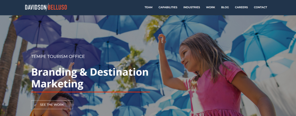 davidson government marketing agencies
