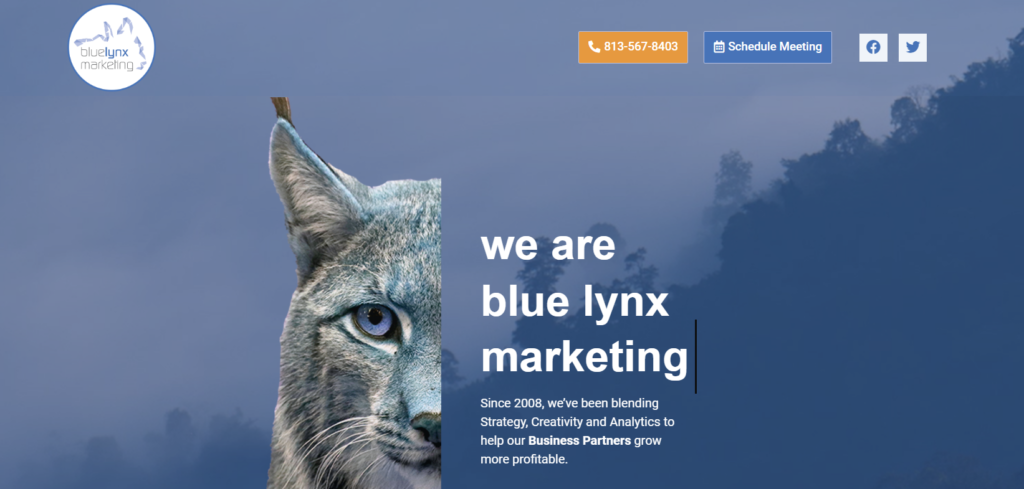 real estate marketing companies