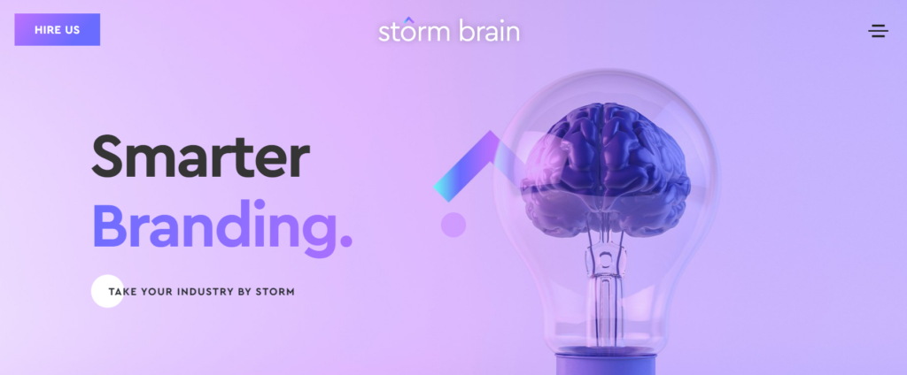 storm government marketing agencies