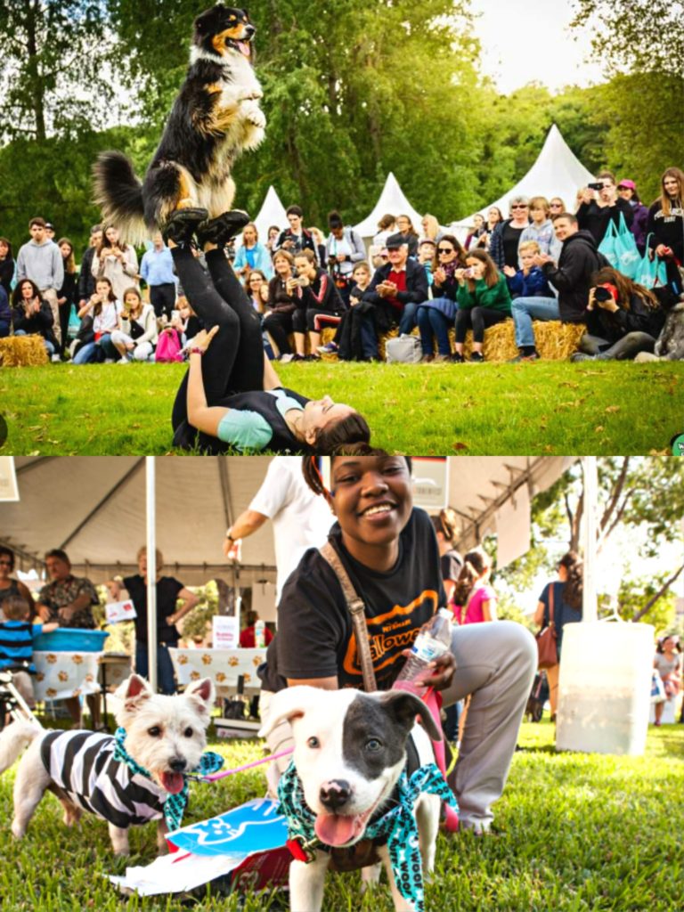 pet marketing agency