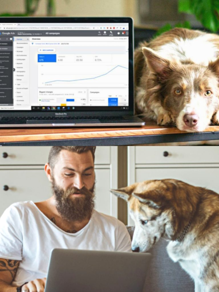pet marketing agency