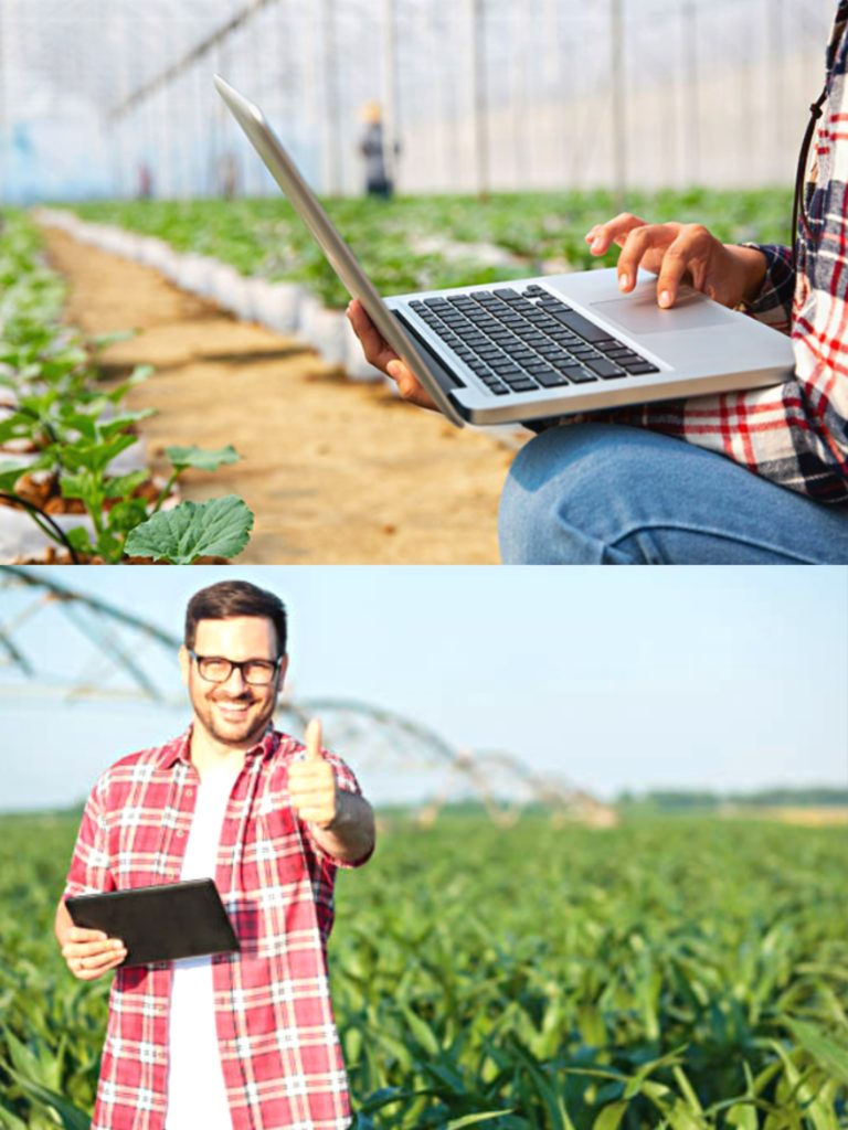 agriculture marketing agency