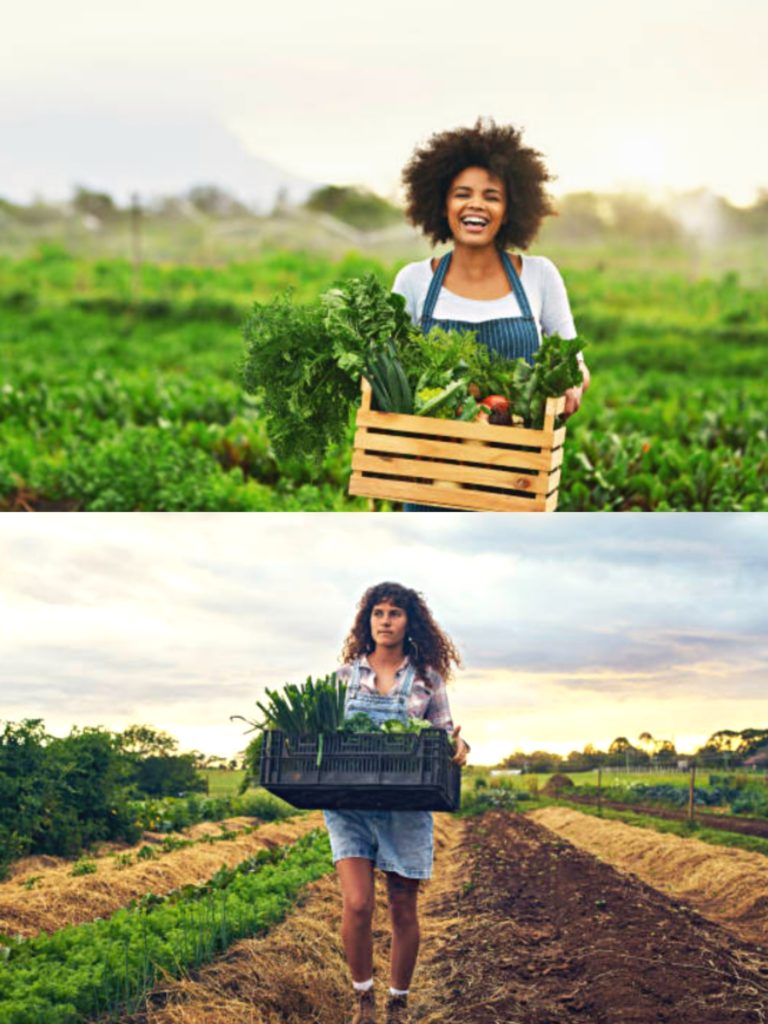 agriculture marketing agency