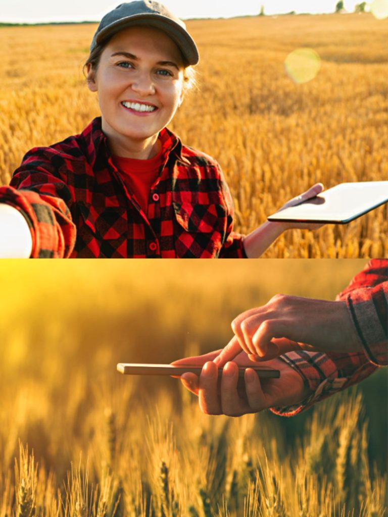 agriculture marketing agency