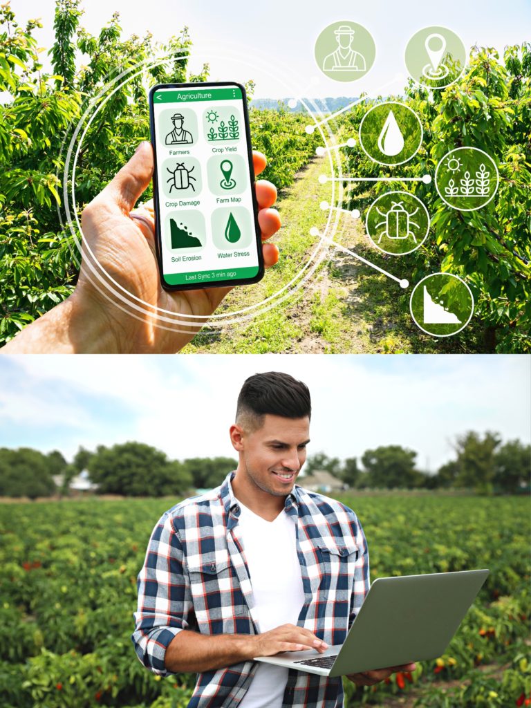 agriculture marketing agency