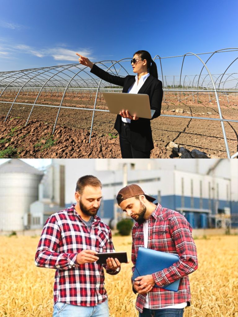agriculture marketing agency