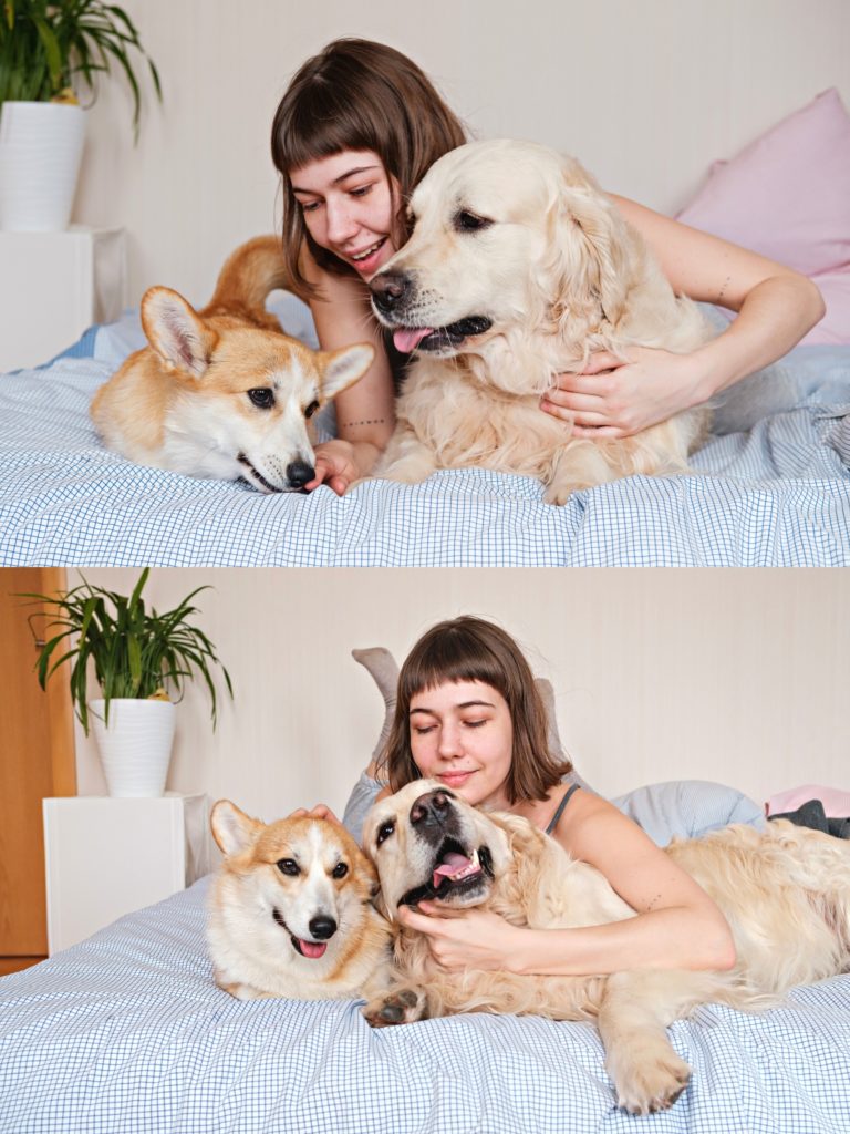 pet marketing agency
