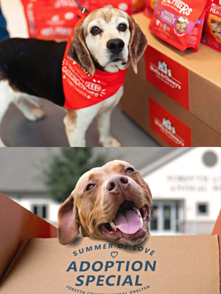 pet marketing agency